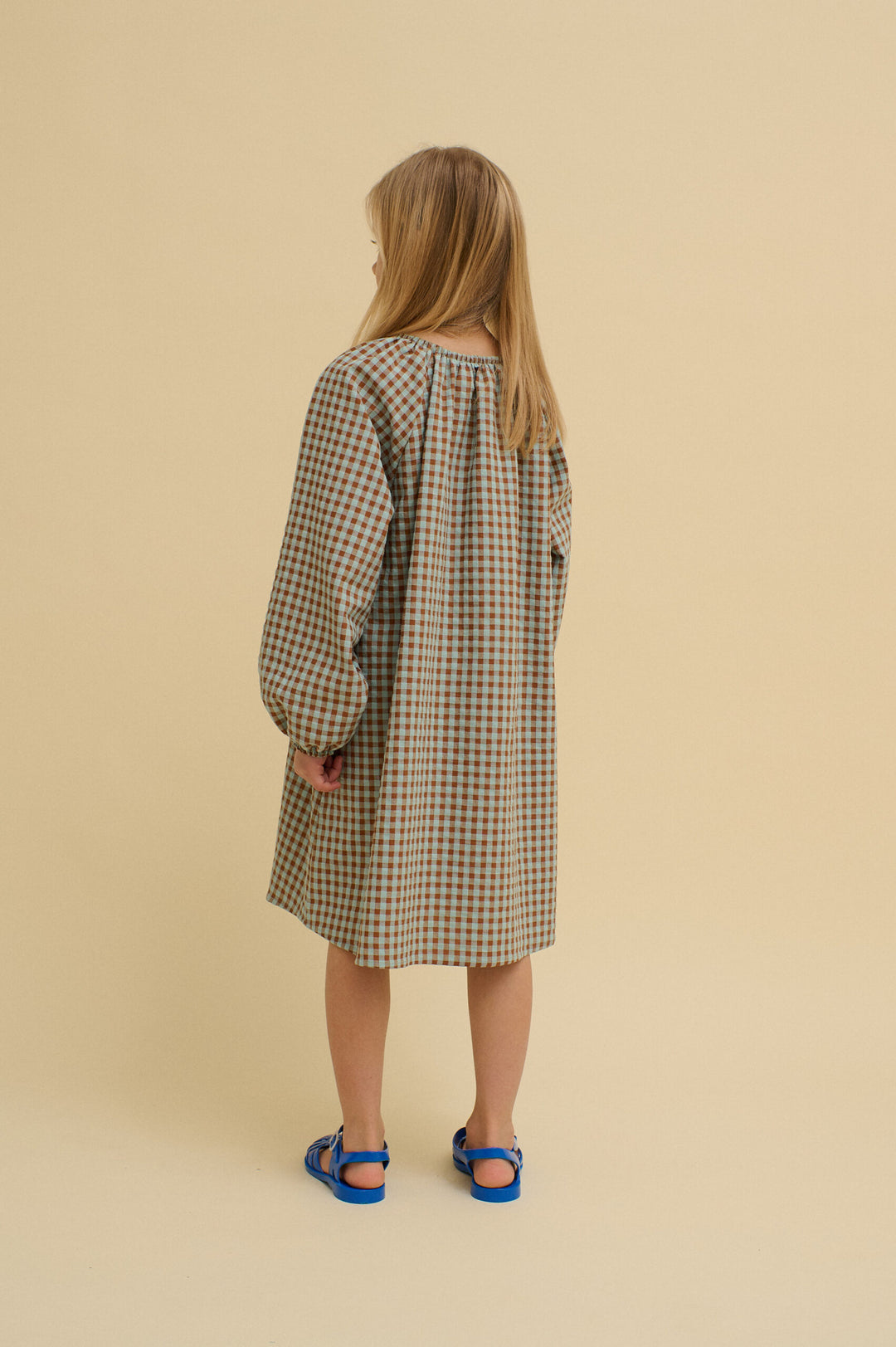 Long Sleeve Dress