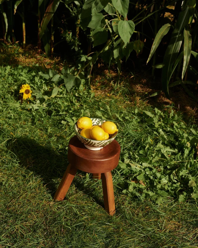 What’s for dinner? 🍋 #oxoxclub